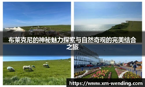 问鼎娱乐官网